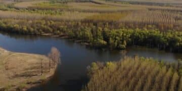 Prirodni mozaik uz Dunav: Koviljsko-Petrovaradinski rit