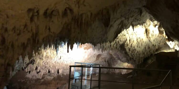 Rajkova pećina – Beli biser Đerdapskog geoparka