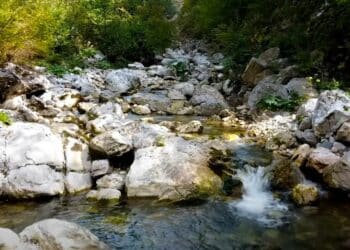 Kanjon reke Trešnjice: Dom retkog beloglavog supa