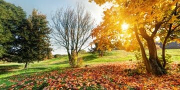 Tara, Fruška gora i Đerdap: čarobni jesenski pejzaži Srbije