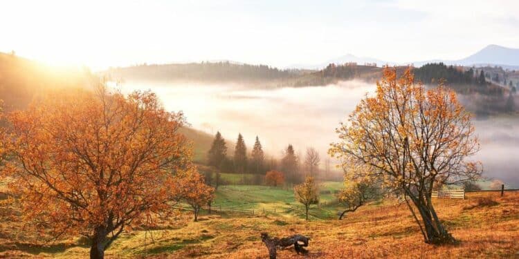 Tara, Fruška gora i Đerdap: čarobni jesenski pejzaži Srbije