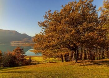 Tara, Fruška gora i Đerdap: čarobni jesenski pejzaži Srbije