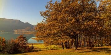 Tara, Fruška gora i Đerdap: čarobni jesenski pejzaži Srbije