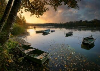 Uživajte u jesenjoj harmoniji na Palićkom jezeru