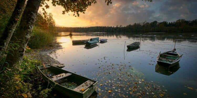 Uživajte u jesenjoj harmoniji na Palićkom jezeru
