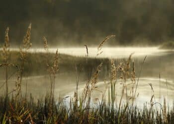 Uživajte u jesenjoj harmoniji na Palićkom jezeru