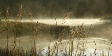 Uživajte u jesenjoj harmoniji na Palićkom jezeru