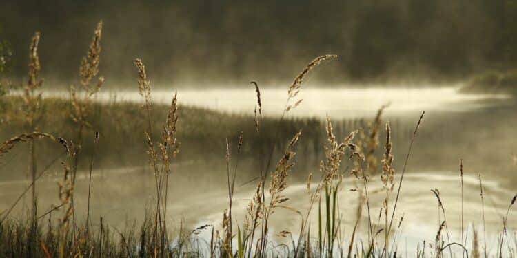 Uživajte u jesenjoj harmoniji na Palićkom jezeru