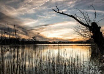 Uživajte u jesenjoj harmoniji na Palićkom jezeru