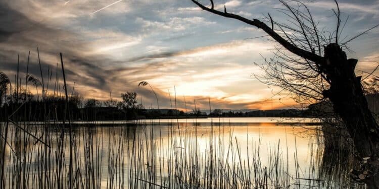 Uživajte u jesenjoj harmoniji na Palićkom jezeru