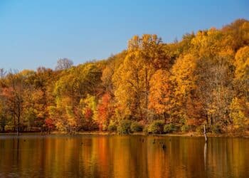 Magični prizori jeseni na Srebrnom jezeru