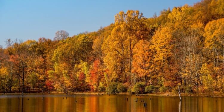 Magični prizori jeseni na Srebrnom jezeru
