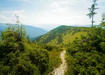 Otkrijte mir i lepotu planine Bobije