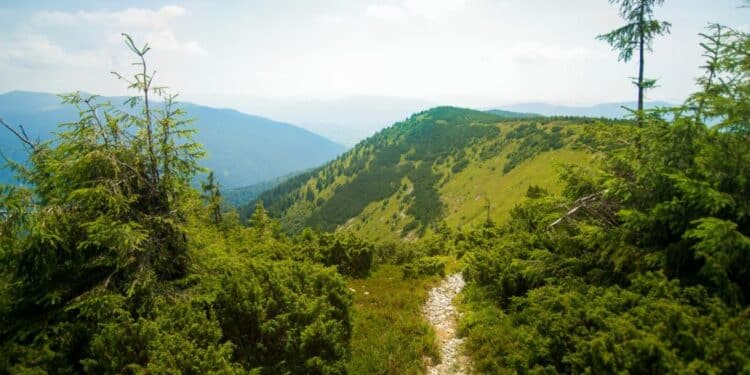 Otkrijte mir i lepotu planine Bobije