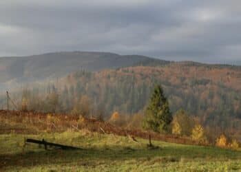 Jelova gora: planina koja se tek otkriva