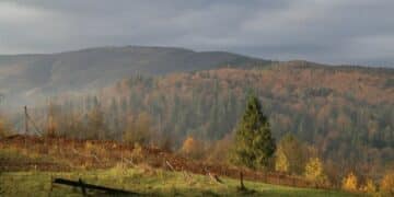 Jelova gora: planina koja se tek otkriva