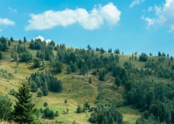 Otkrijte mir i lepotu planine Bobije