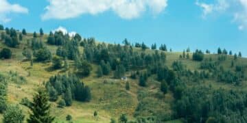 Otkrijte mir i lepotu planine Bobije