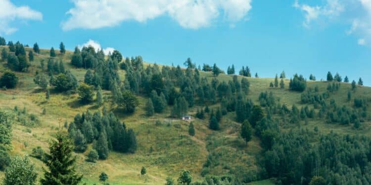 Otkrijte mir i lepotu planine Bobije