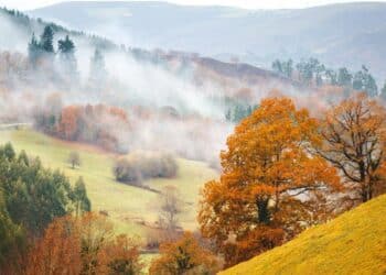 Jelova gora: planina koja se tek otkriva