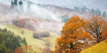 Jelova gora: planina koja se tek otkriva