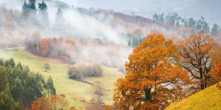 Jelova gora: planina koja se tek otkriva