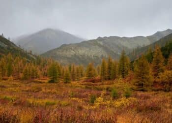 Jelova gora: planina koja se tek otkriva