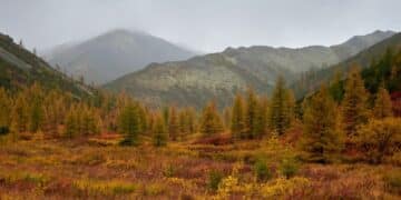 Jelova gora: planina koja se tek otkriva