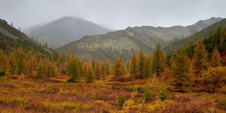 Jelova gora: planina koja se tek otkriva