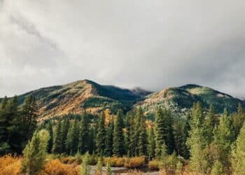 Venčac i njegove skrivene staze: planina za istraživanje i uživanje