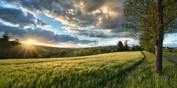 Šomrda – savršeno mesto za planinare i ljubitelje arheologije