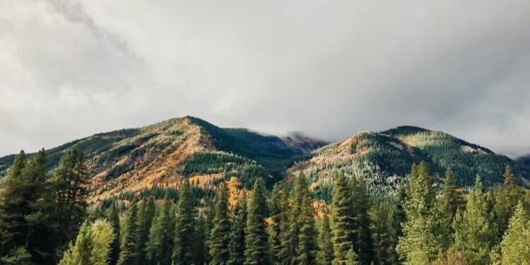 Venčac i njegove skrivene staze: planina za istraživanje i uživanje