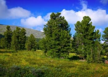 Otkrijte mir i lepotu planine Bobije