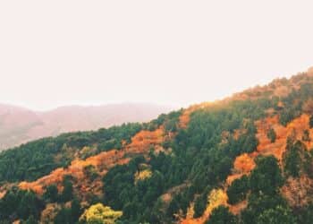 Romantična Skadarlija: šetnja beogradskom boemskom četvrti