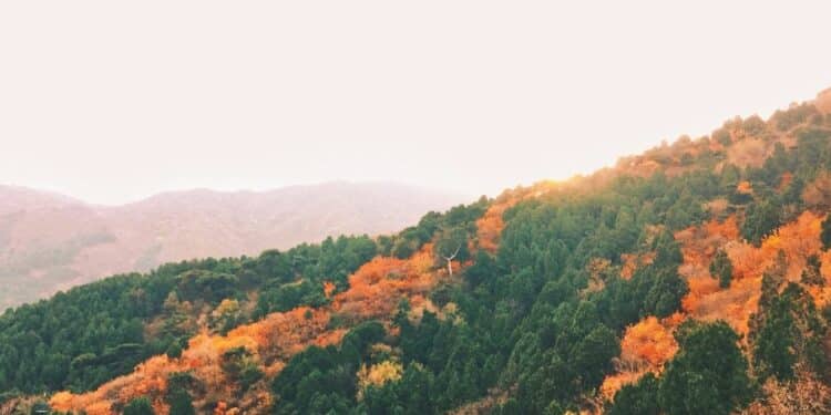 Romantična Skadarlija: šetnja beogradskom boemskom četvrti