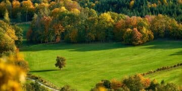 Zlatna i crvena na Divčibarama: Jesenje čarolije planine