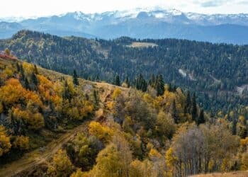 Zlatna i crvena na Divčibarama: Jesenje čarolije planine