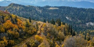 Zlatna i crvena na Divčibarama: Jesenje čarolije planine