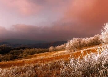 Planinarenje i relaksacija: šta nudi Kopaonik u jesenjim danima