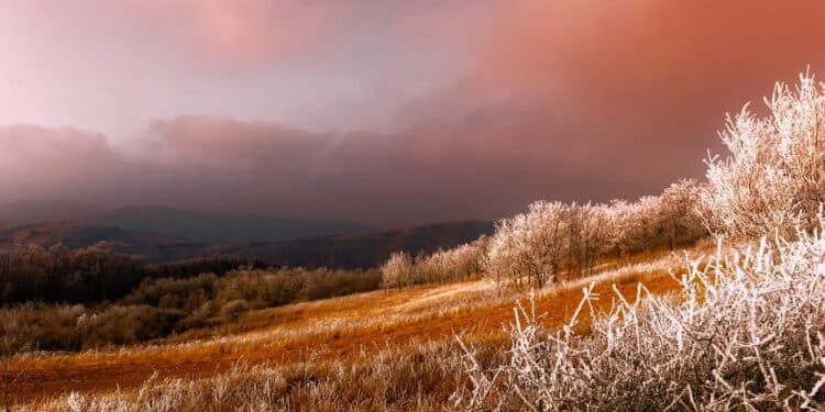 Planinarenje i relaksacija: šta nudi Kopaonik u jesenjim danima
