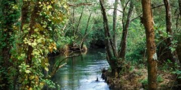 Otkrijte čari reke Mlаve: putovanje kroz doline i klisure