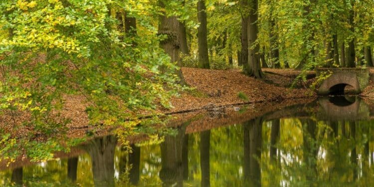 Otkrijte čari reke Mlаve: putovanje kroz doline i klisure