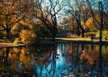 Tajne Mlavinog toka – kroz kanjone i ravnice