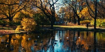 Tajne Mlavinog toka – kroz kanjone i ravnice