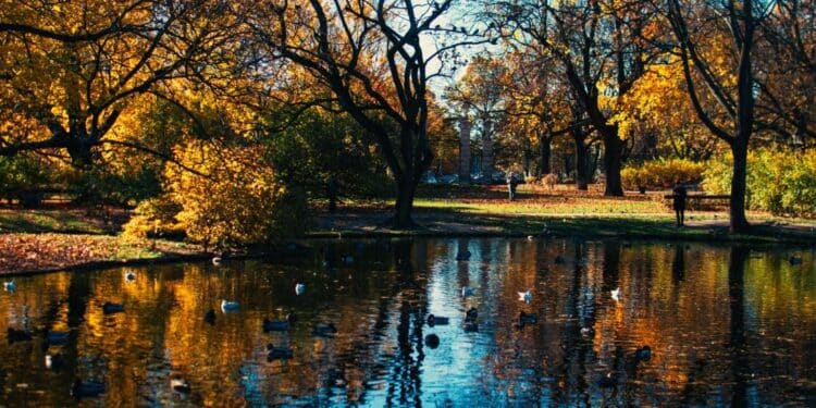 Tajne Mlavinog toka – kroz kanjone i ravnice