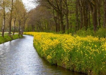 Od planinskih visina do pitomih ravnica: reka Lab