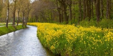 Od planinskih visina do pitomih ravnica: reka Lab