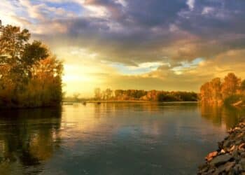 Zlato jeseni na obalama Tise: Uživanje u prirodnim lepotama