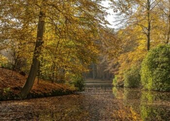 Duge šetnje duž Kolubare: beg u prirodu