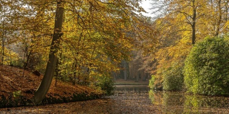 Duge šetnje duž Kolubare: beg u prirodu